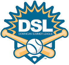 Dominican Summer League logo